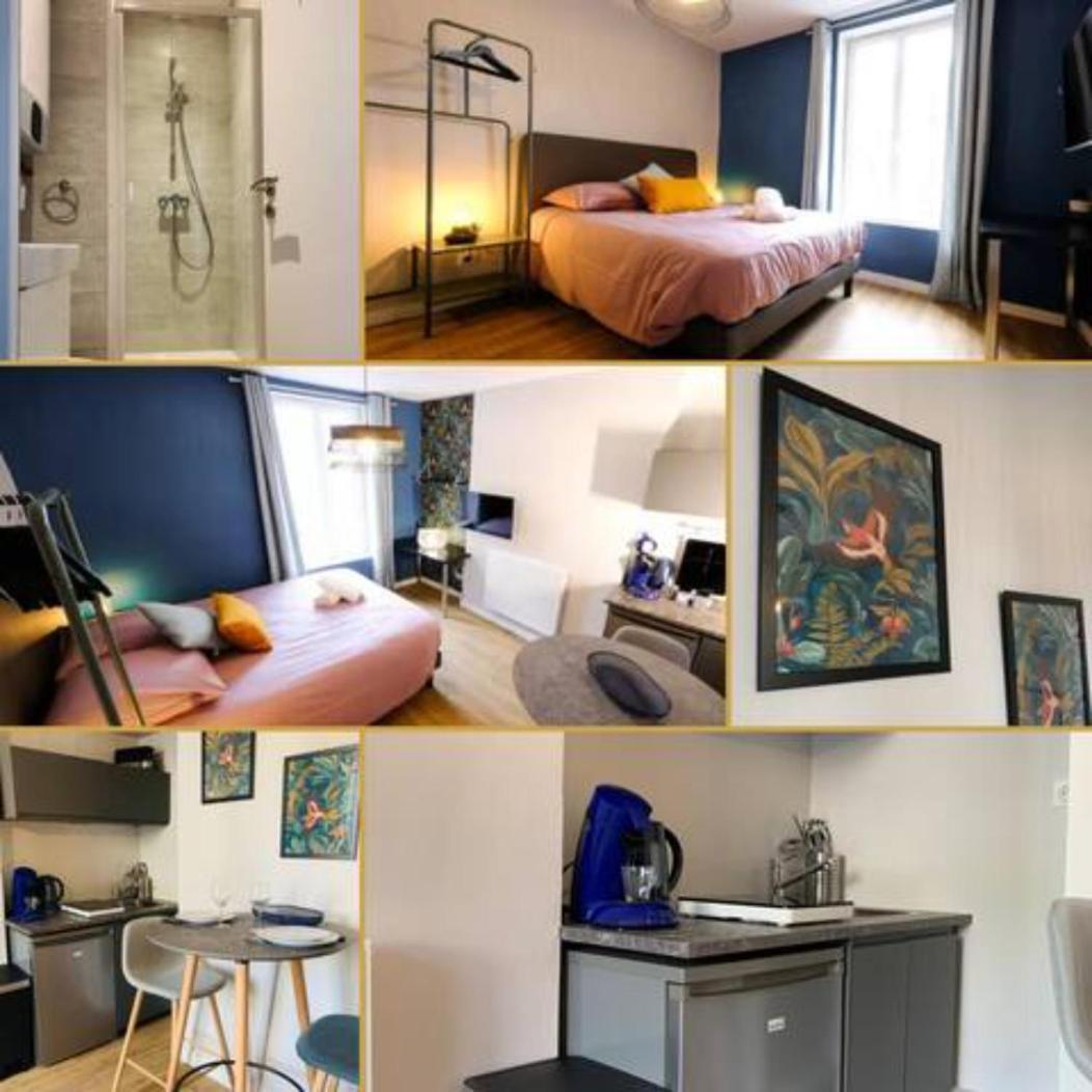 Luxueux Studio Rue Bannier Neuf Apartman Orléans Kültér fotó